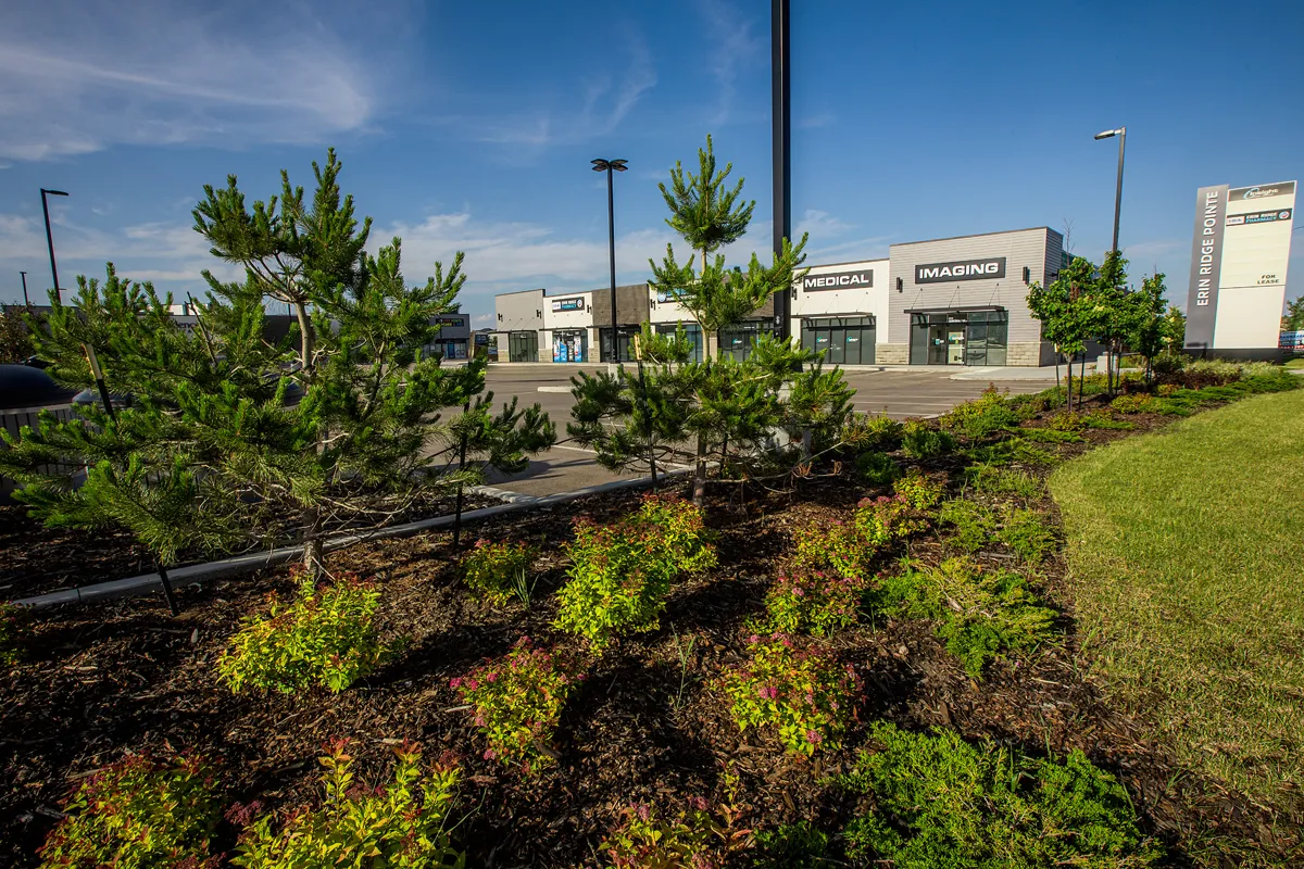 Professional commercial landscaping in summer grocery mall